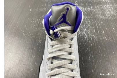 Retro Dark 5 Concord Jordan 0802